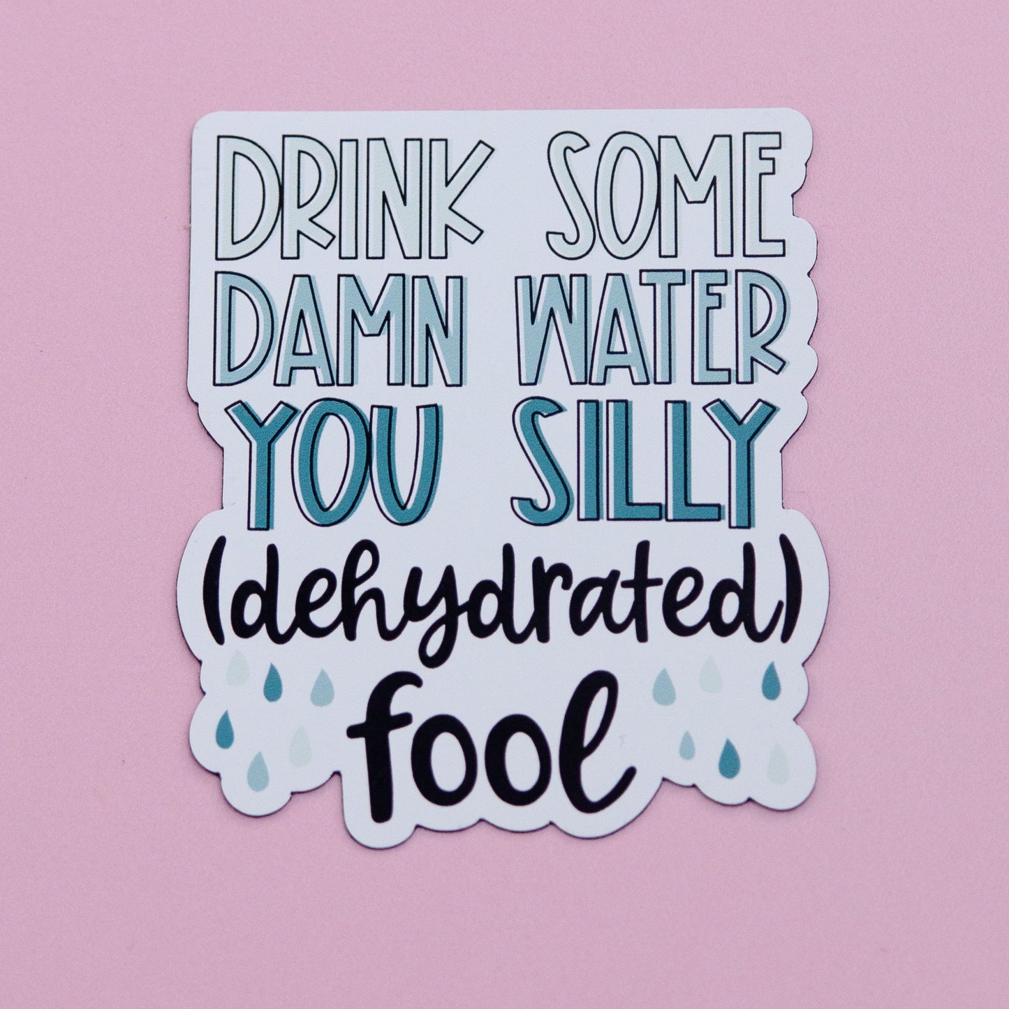 Drink Some Water You Dehydrated Fool Magnetic Reminder | Cute Fridge Magnets | Cute Magnets I Drink Water Reminders | Funny Water Bottle