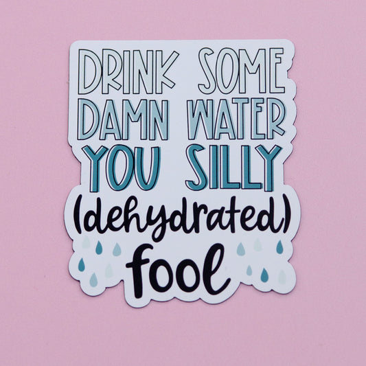 Drink Some Water You Dehydrated Fool Magnetic Reminder | Cute Fridge Magnets | Cute Magnets I Drink Water Reminders | Funny Water Bottle