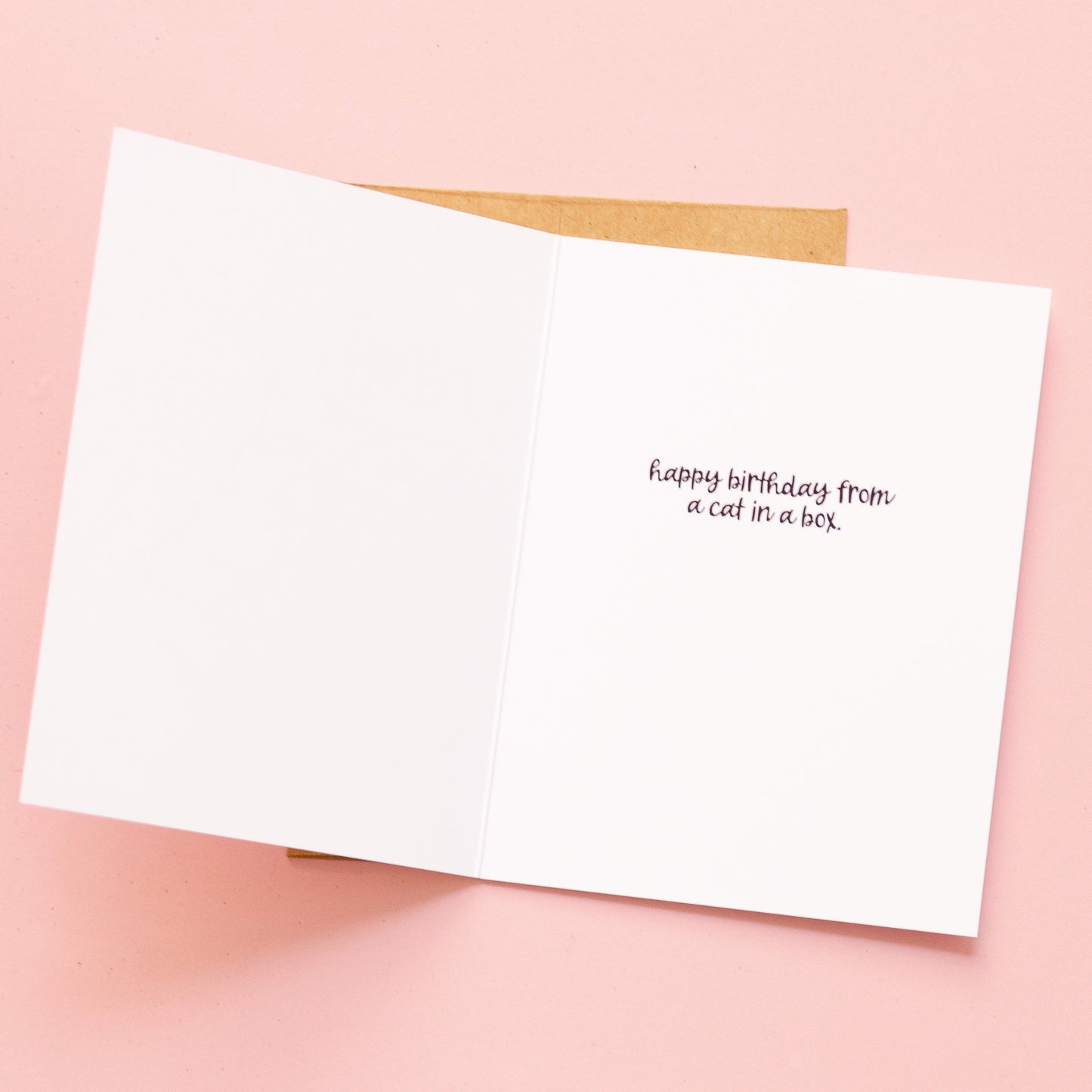 Cat in a Box Birthday Card | Cute Birthday Card | Greeting Card | A2 Birthday Card | Printed Birthday Card