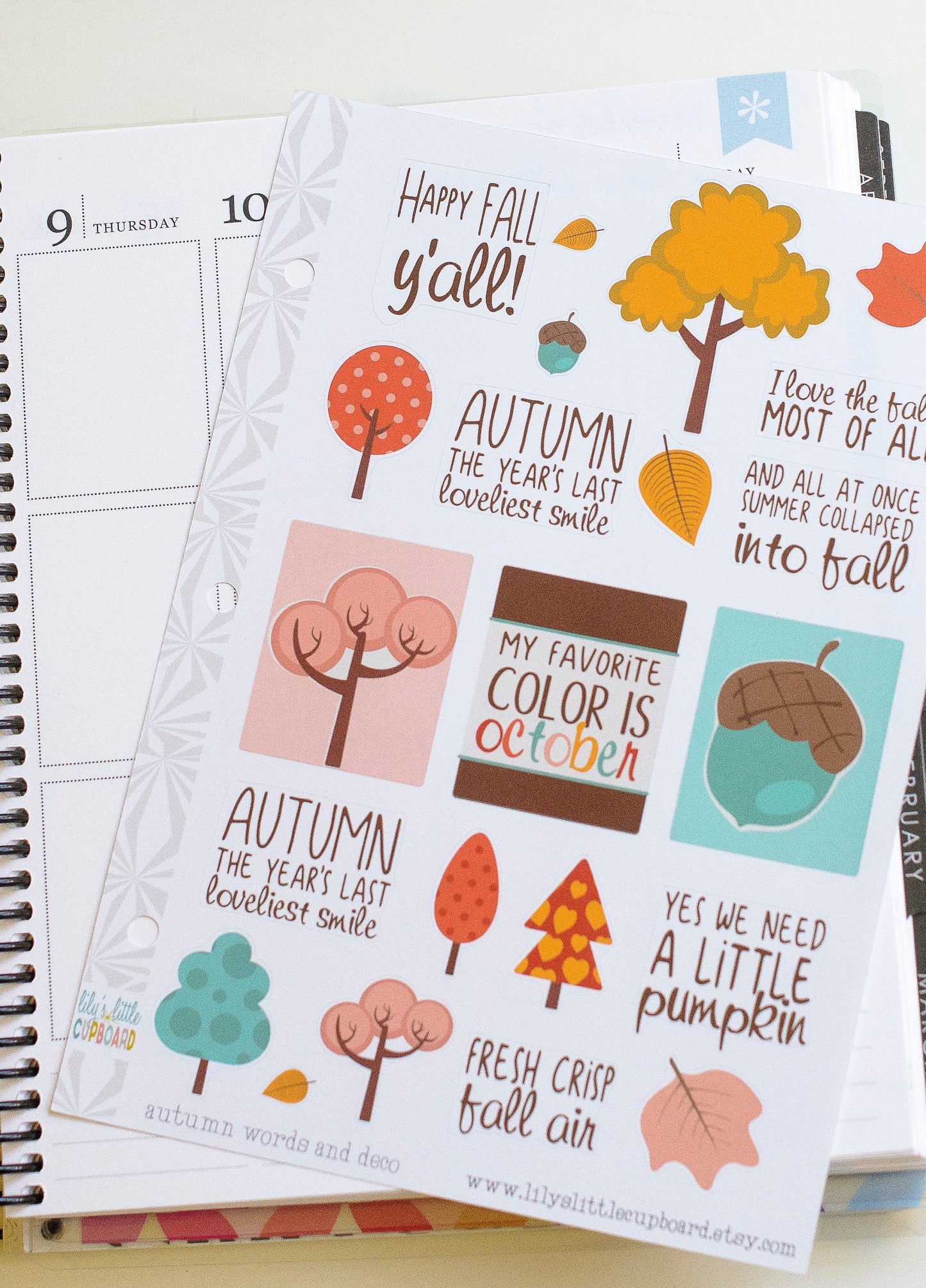 Autumn Deco and Words Planner Stickers | Fall Deco Planner Stickers | Retro Planner Stickers