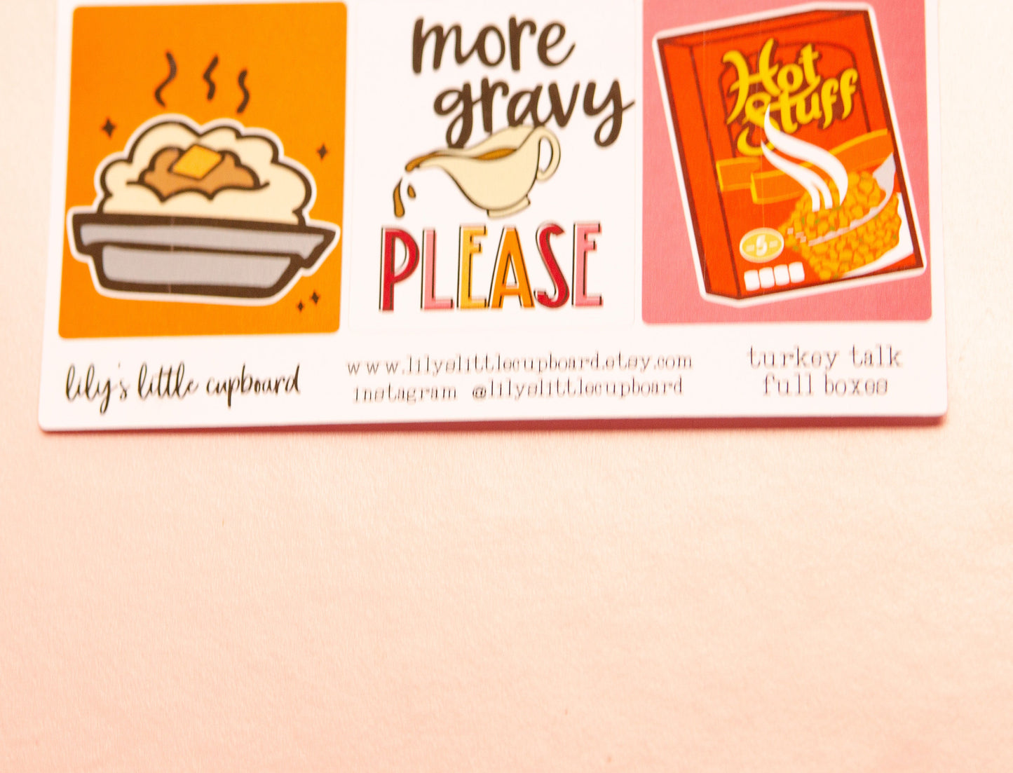 Turkey Talk Full Box Stickers | Thanksgiving Quotes Stickers | Food Planner Stickers | Lily's Little Lites Planner Stickers (L0_P)