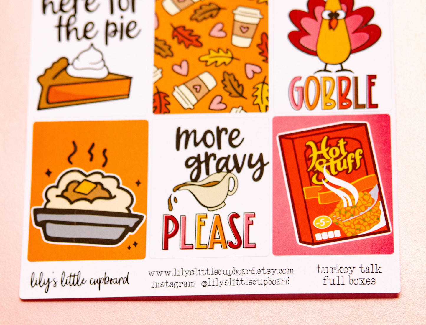 Turkey Talk Full Box Stickers | Thanksgiving Quotes Stickers | Food Planner Stickers | Lily's Little Lites Planner Stickers (L0_P)