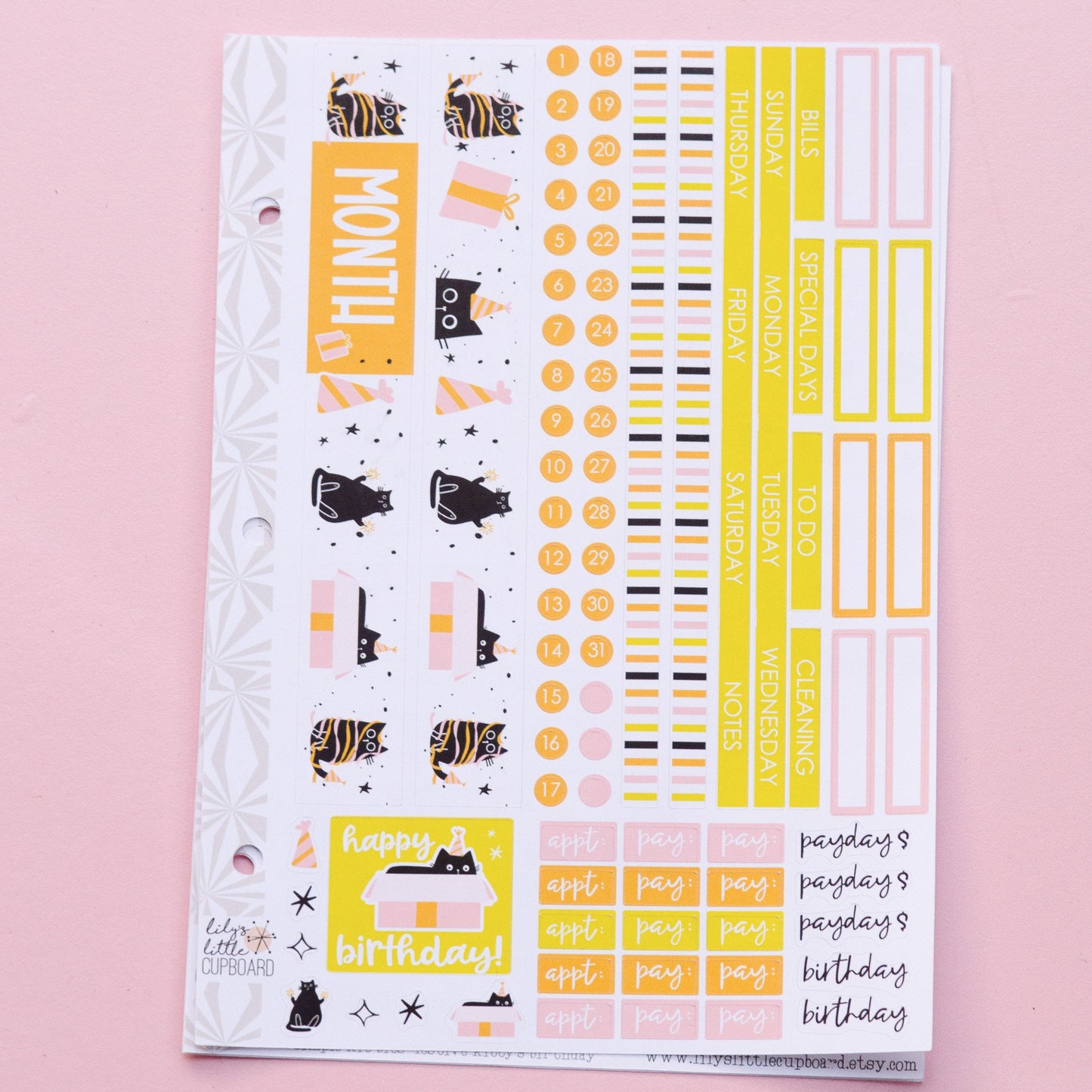 Simple Monthly Kit in Birthday Month | Choose Your Month Sticker Kit | Monthly Spread Planner Kits | Monthly Planner Sticker Kits