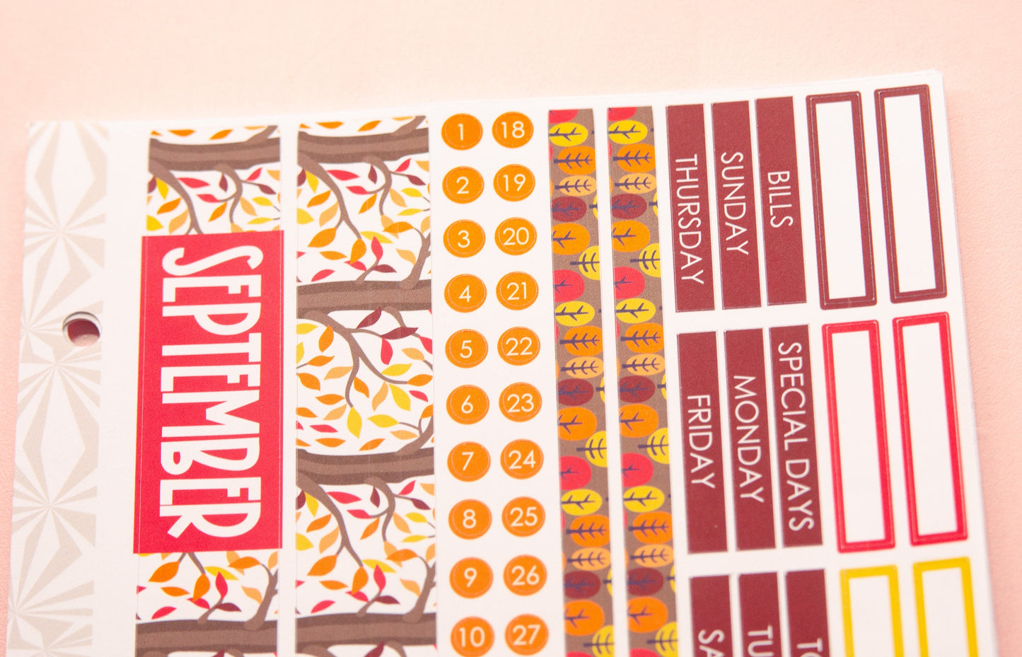 Simple Monthly Kit in Falling Colors | Choose Your Month Sticker Kit | Monthly Spread Planner Kits | Monthly Planner Sticker Kits