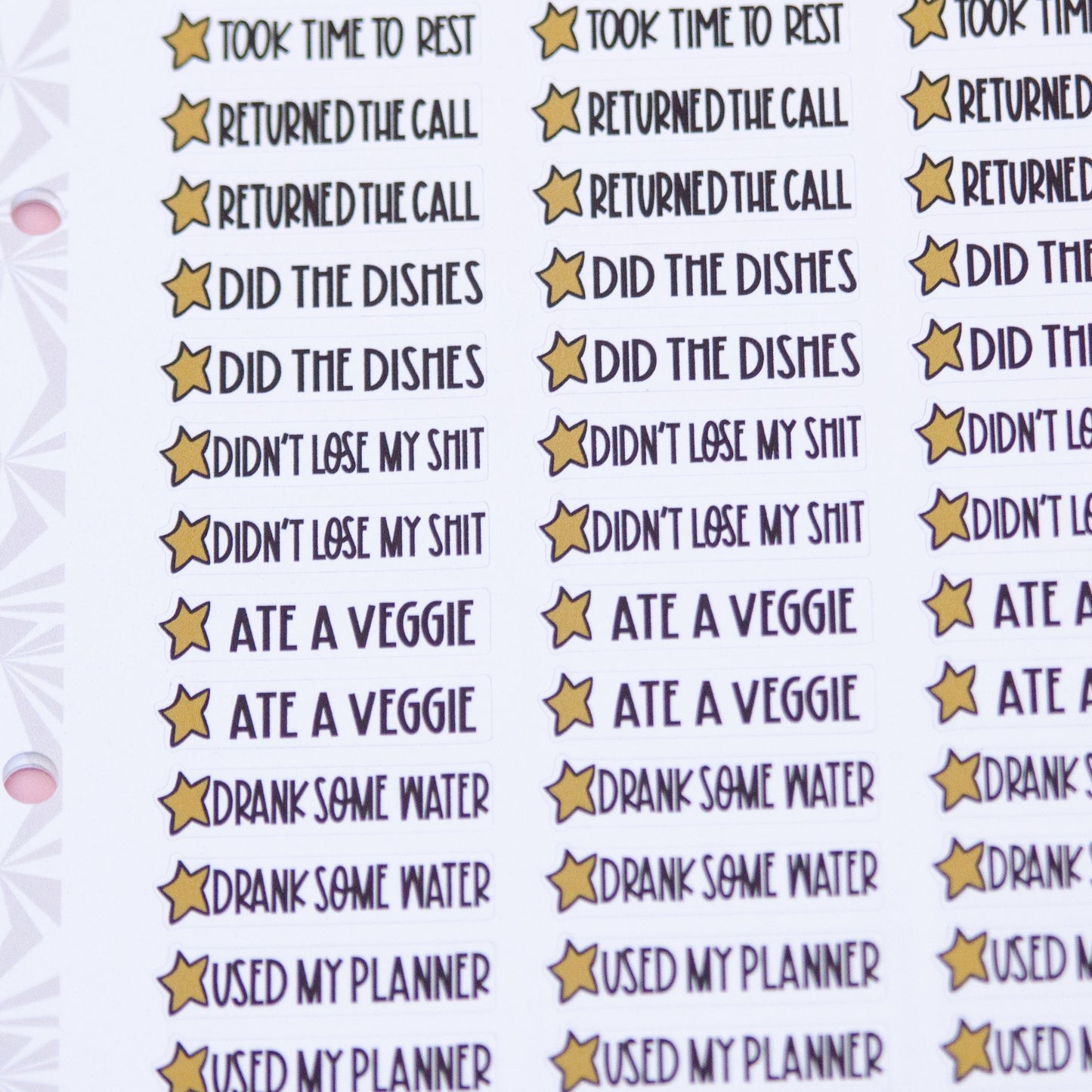 Gold Star Adulting Awards Sampler | Adulting Planner Stickers | Grownup Accomplishment Reward Stickers
