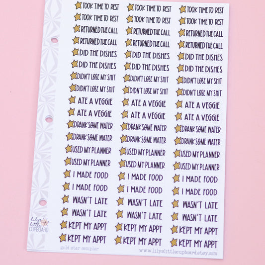 Gold Star Adulting Awards Sampler | Adulting Planner Stickers | Grownup Accomplishment Reward Stickers