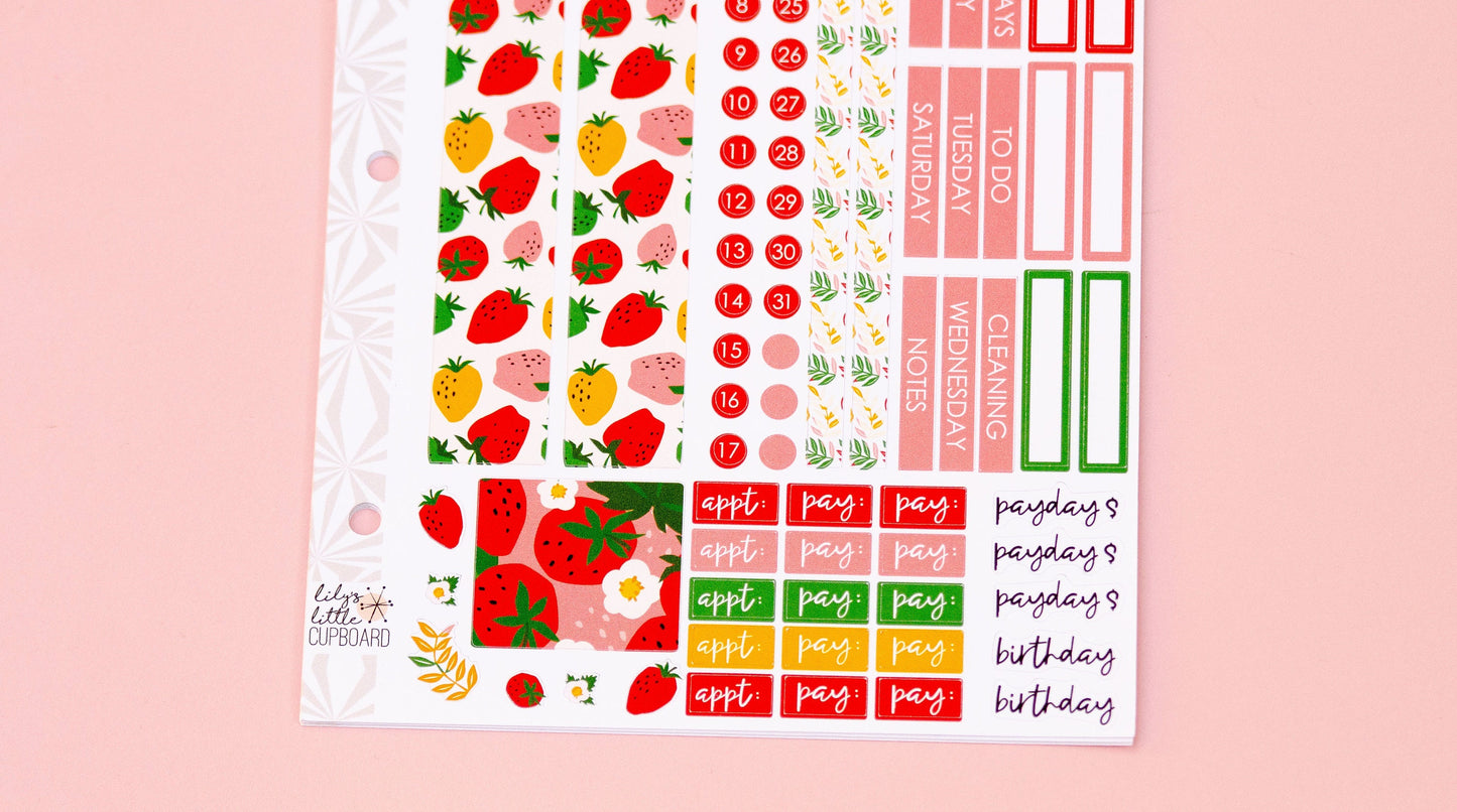 Simple Monthly Kit in Delightful Strawberries | Choose Your Month Sticker Kit | Monthly Spread Planner Kits | Monthly Planner Sticker Kits